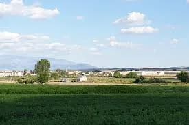 Cijuela