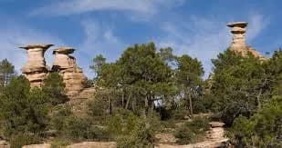 Pajaroncillo