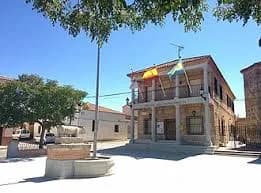 Totanes