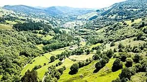 Cieza