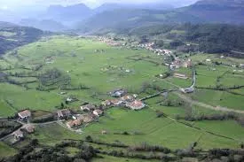 Rasines