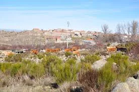 Gallegos De Altamiros