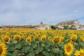 Población De Arroyo