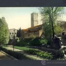 Palau -solità I Plegamans