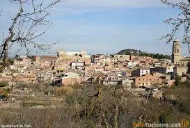 Albi