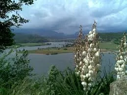 Castellnou De Bassella