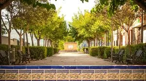 Llocnou d'en Fenollet