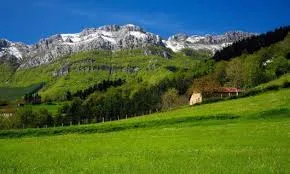 Placencia De (zegama)